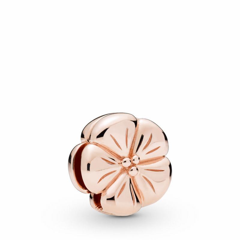 Talismane Pandora Rose™ Reflexions™ Classic Flower Clip (gRGLMm9r)